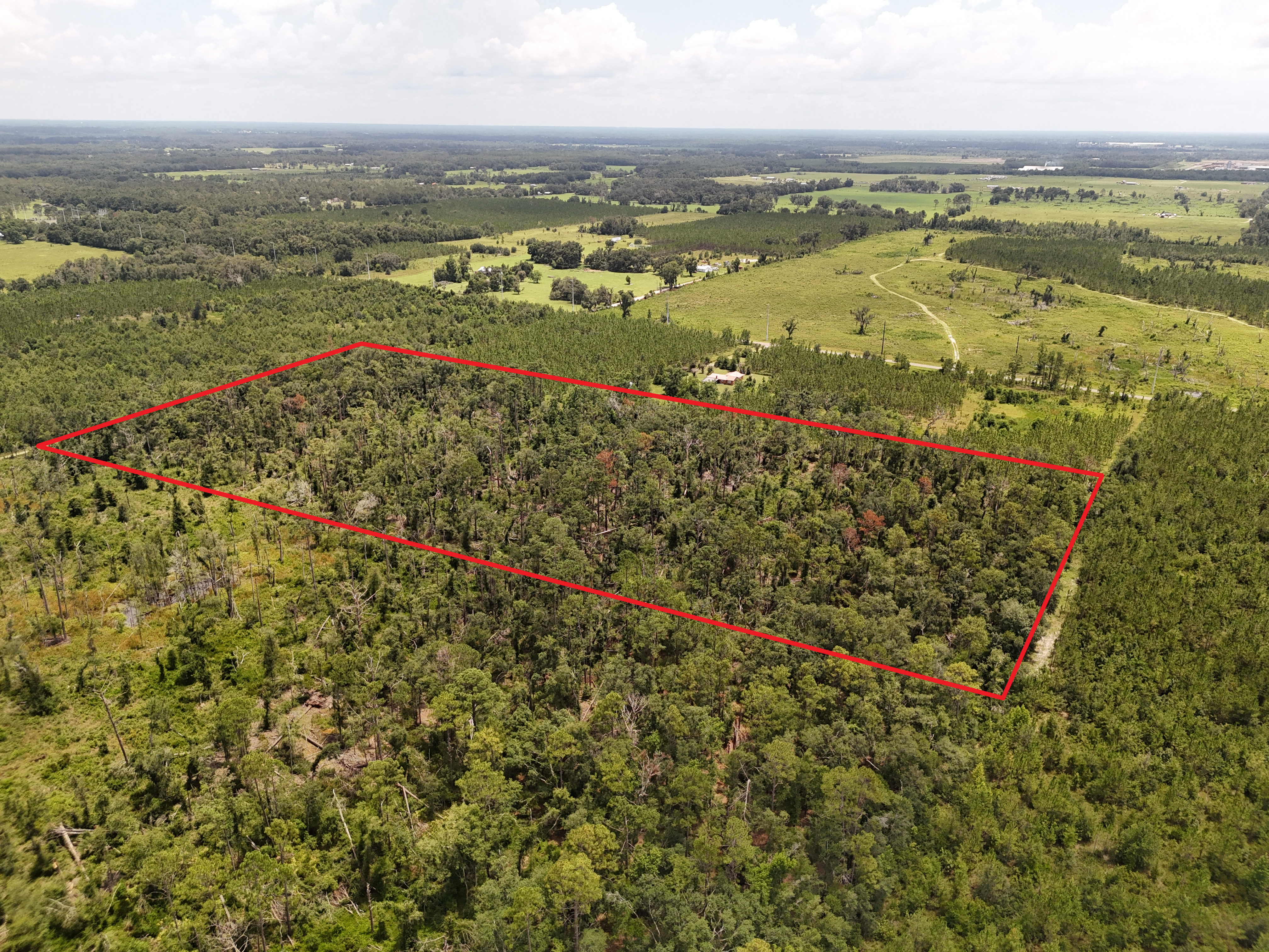 17.33 Acres in Suwannee County, FL